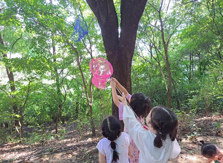 서울 유아숲체험원
