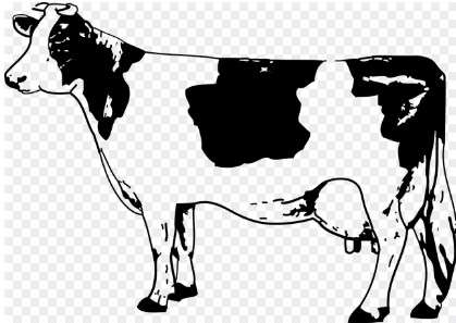 2026년 소띠 신년운세 무료보기