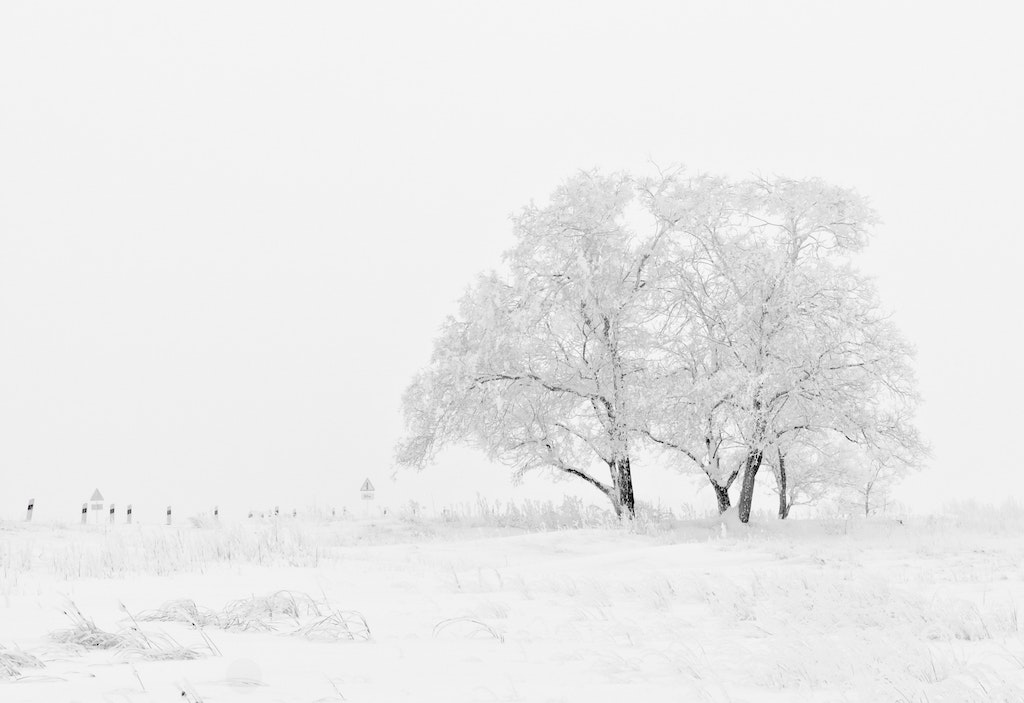 snow 03