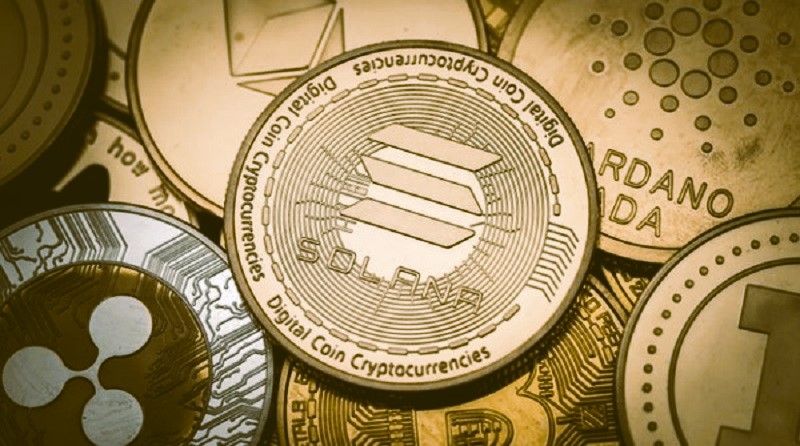 솔라나 코인의 미래 전망