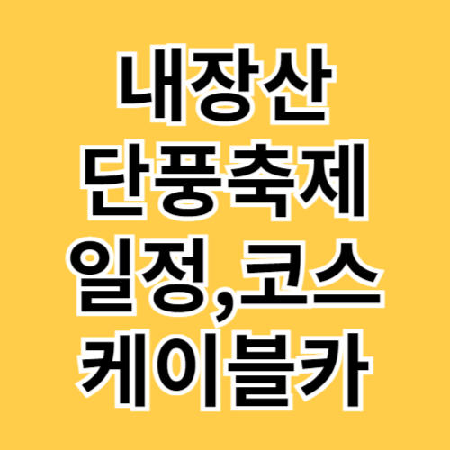내장산 단풍기간