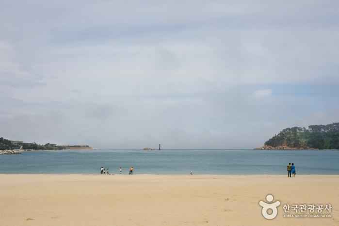 일산해수욕장 