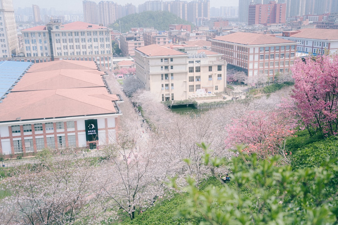 Yeonje-gu High School