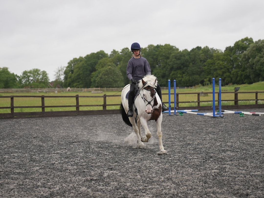 Trot