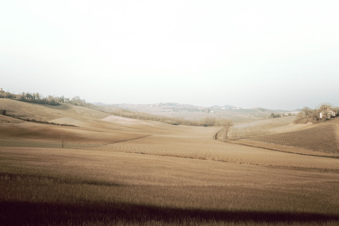 Cultivation