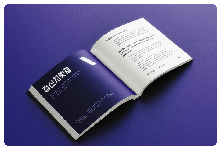 정신차렷체의 예시2