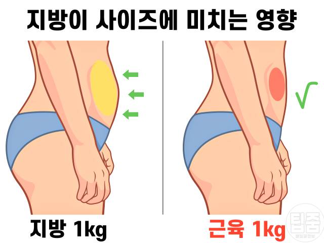 다이어트 정체기 탈출 몸무게가 안줄어요,다이어트전후 뱃살
