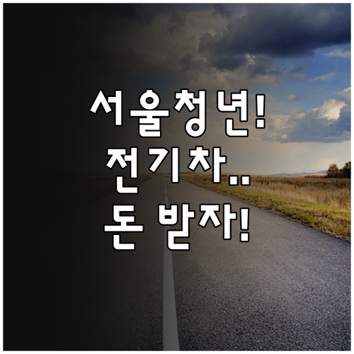 생애 첫 차 전기차 구매하는 서울 청..