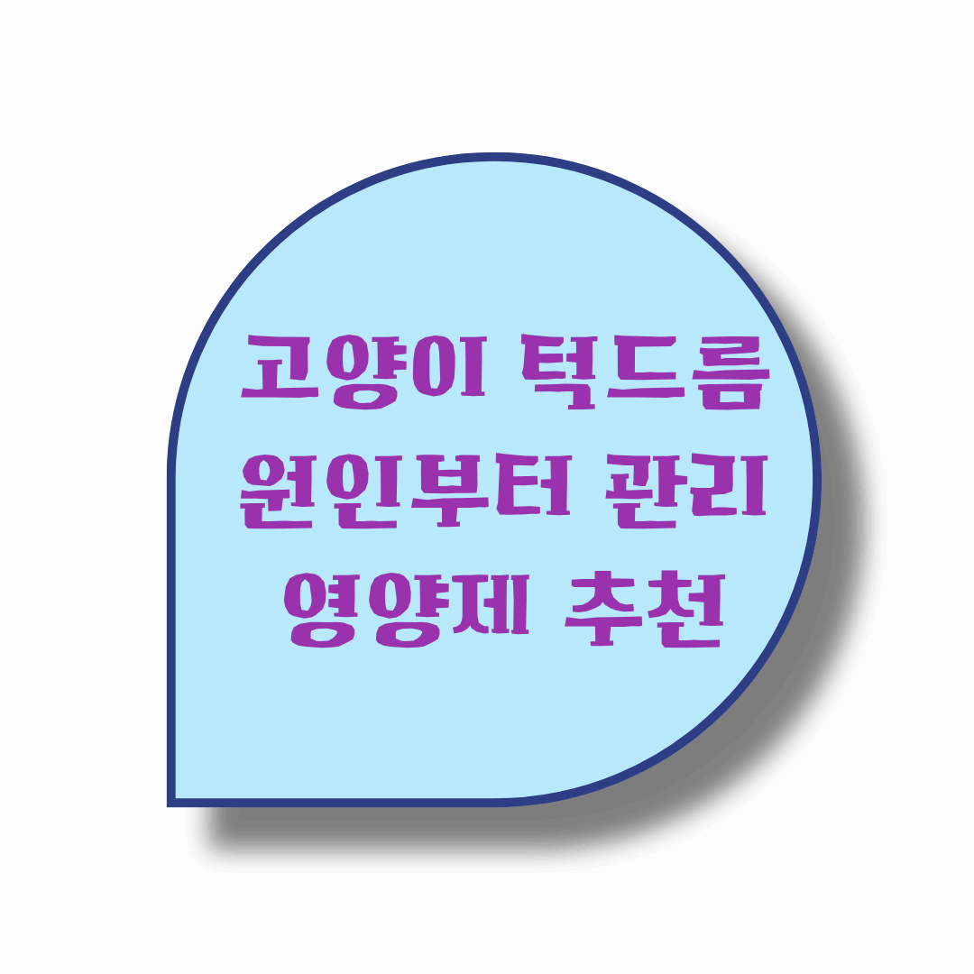 고양이 턱드름!! 원인부터 관리, 영양제 추천까지!!