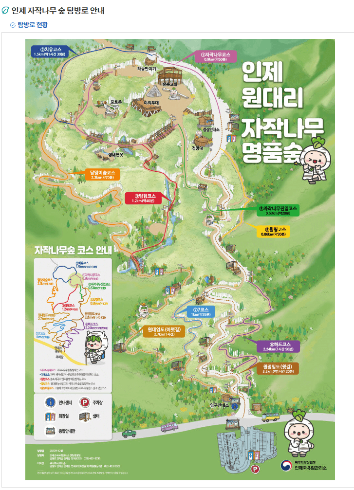 인제 -자작나무숲의- 위치