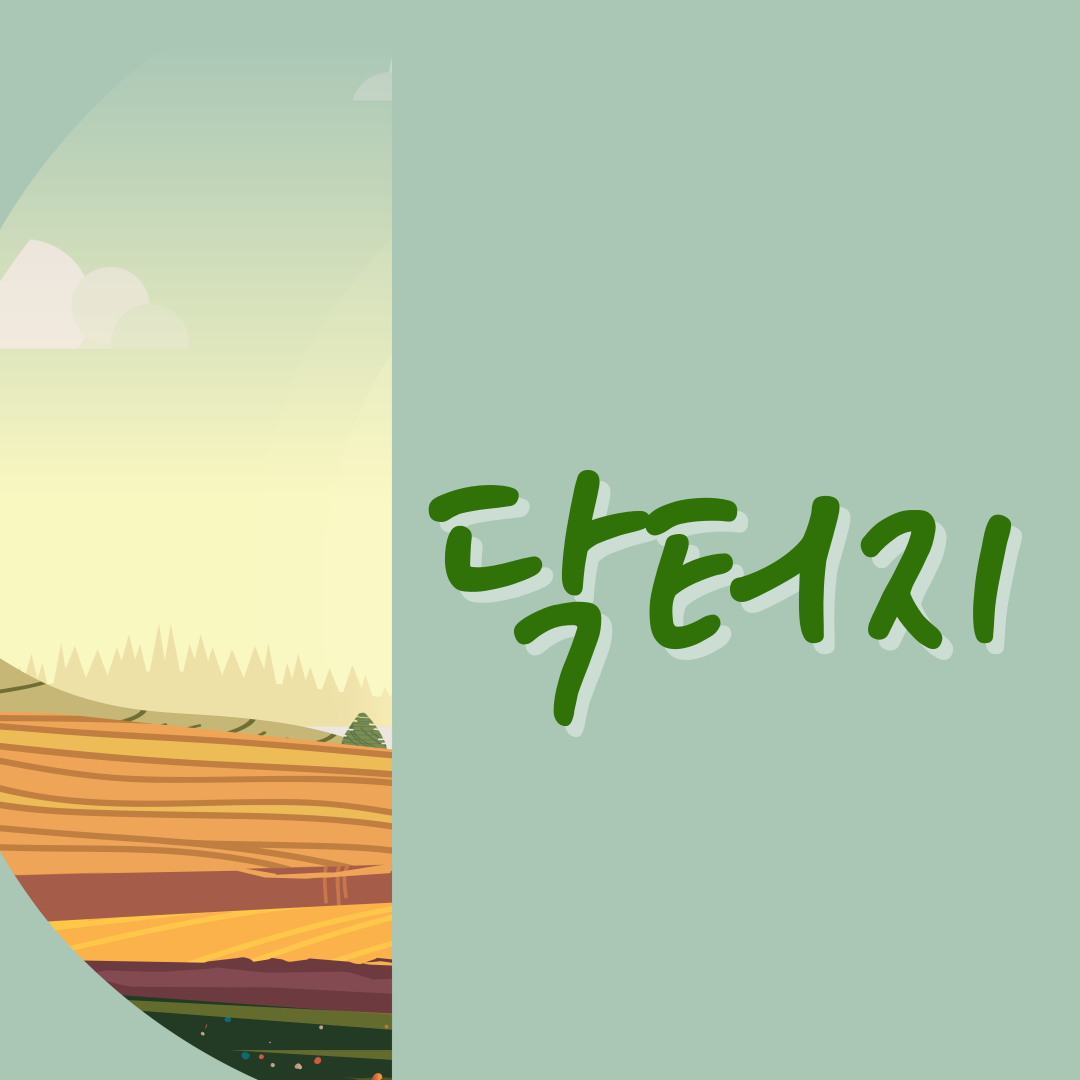 닥터지