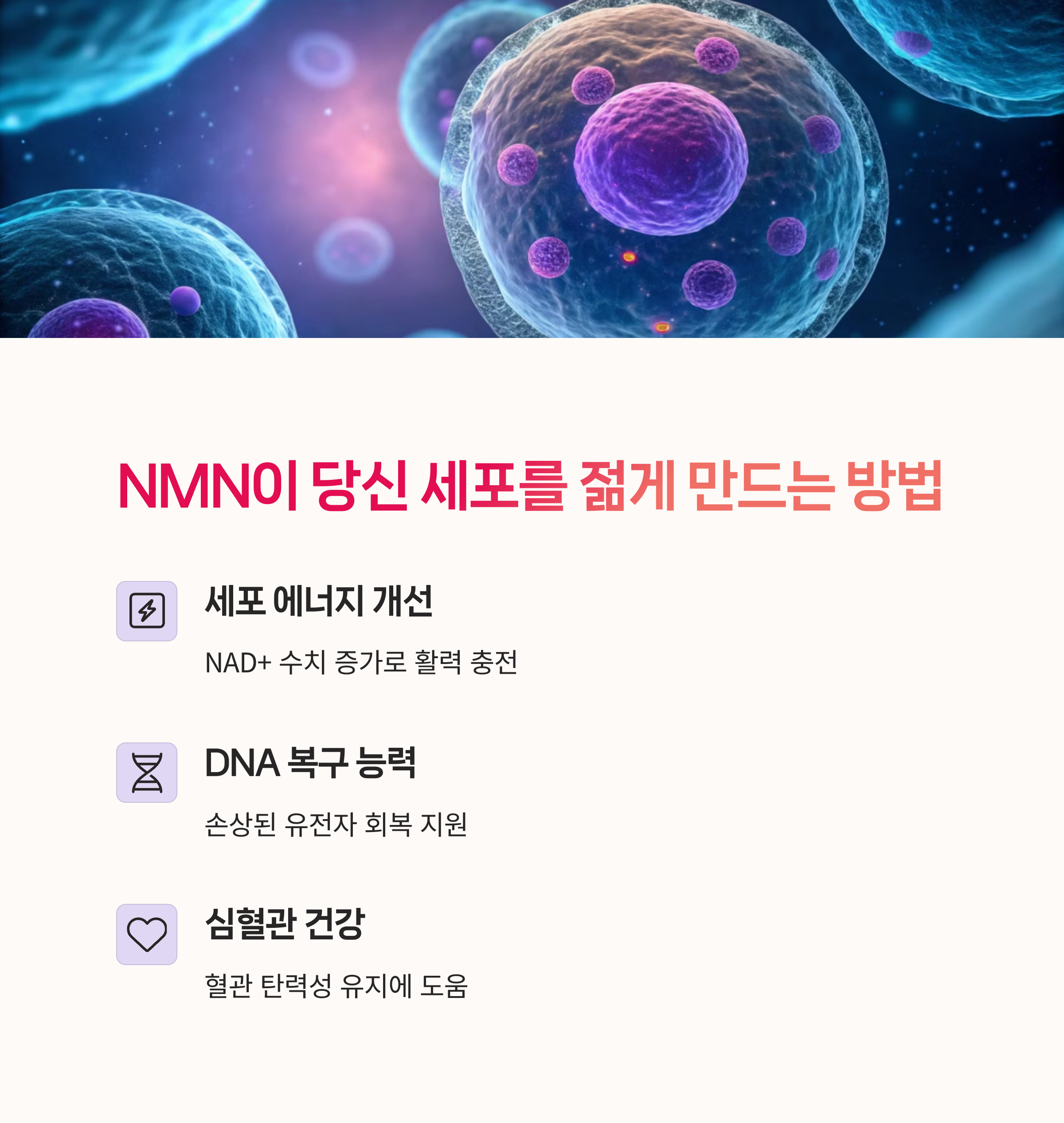 NAD플러스, 난자질개선,