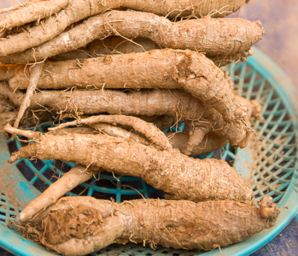 횡성 주주리농장 더덕