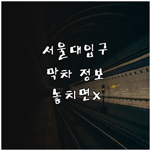 2호선 서울대입구역 막차 시간표 성수..