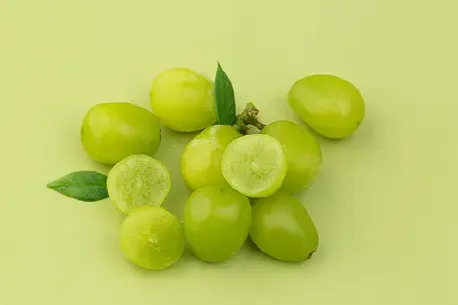 포도 수확시기