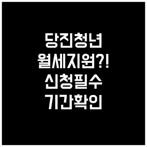 2026 당진시 청년월세 지원 대상과..