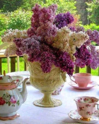 히솝 재배 씨 뿌리기 통풍 관리 허브 차 활용_11