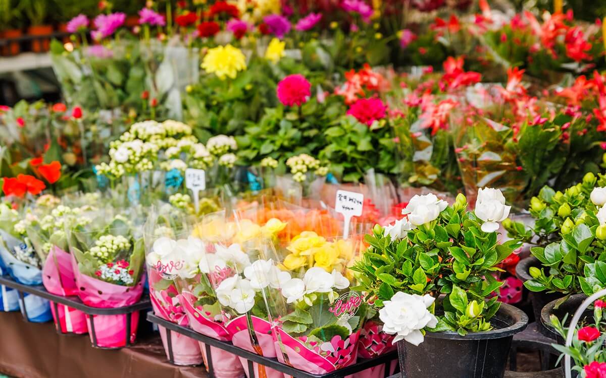 2024 고양국제꽃박람회 사전예매