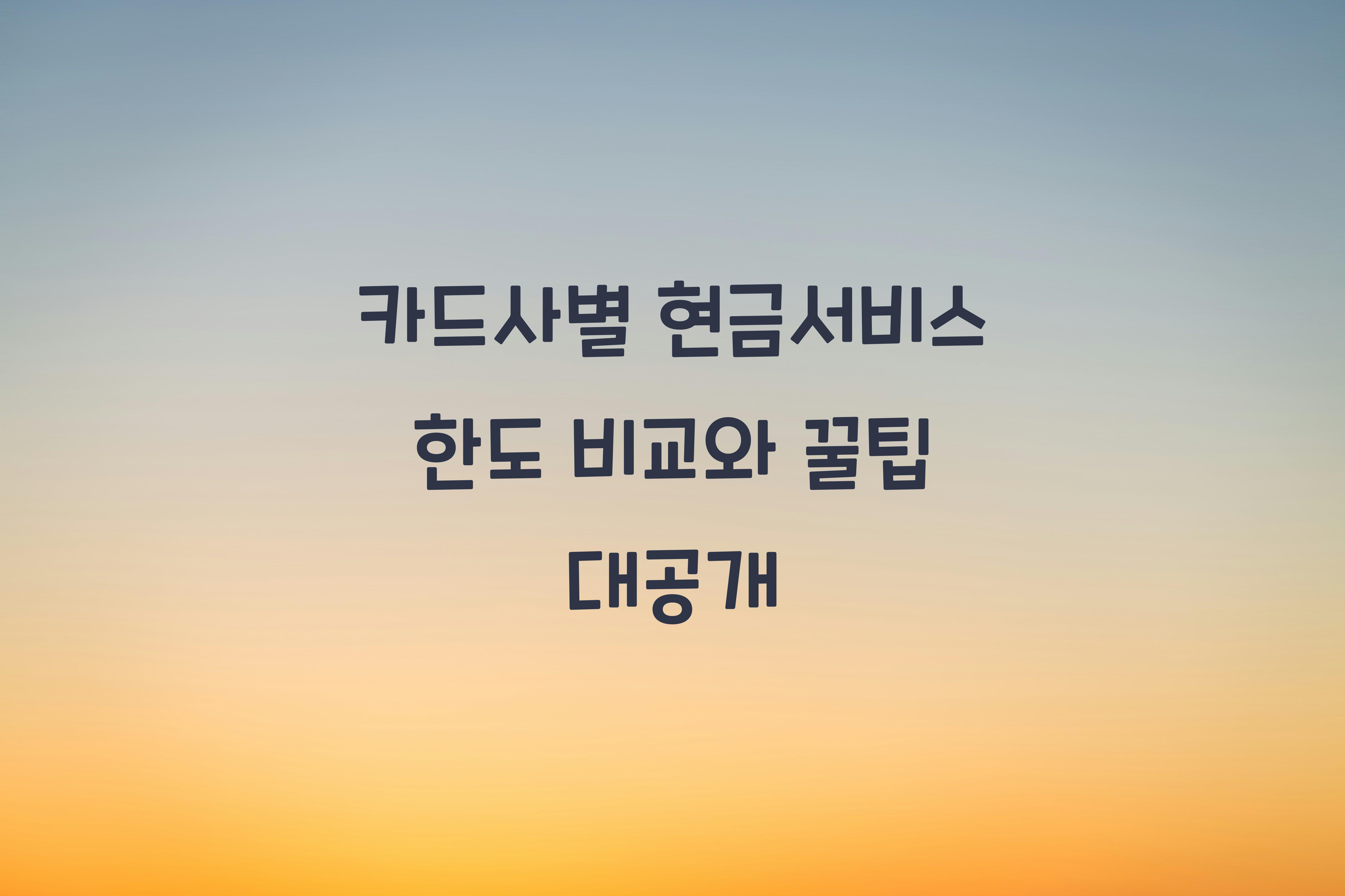 카드사별 현금서비스 한도 비교