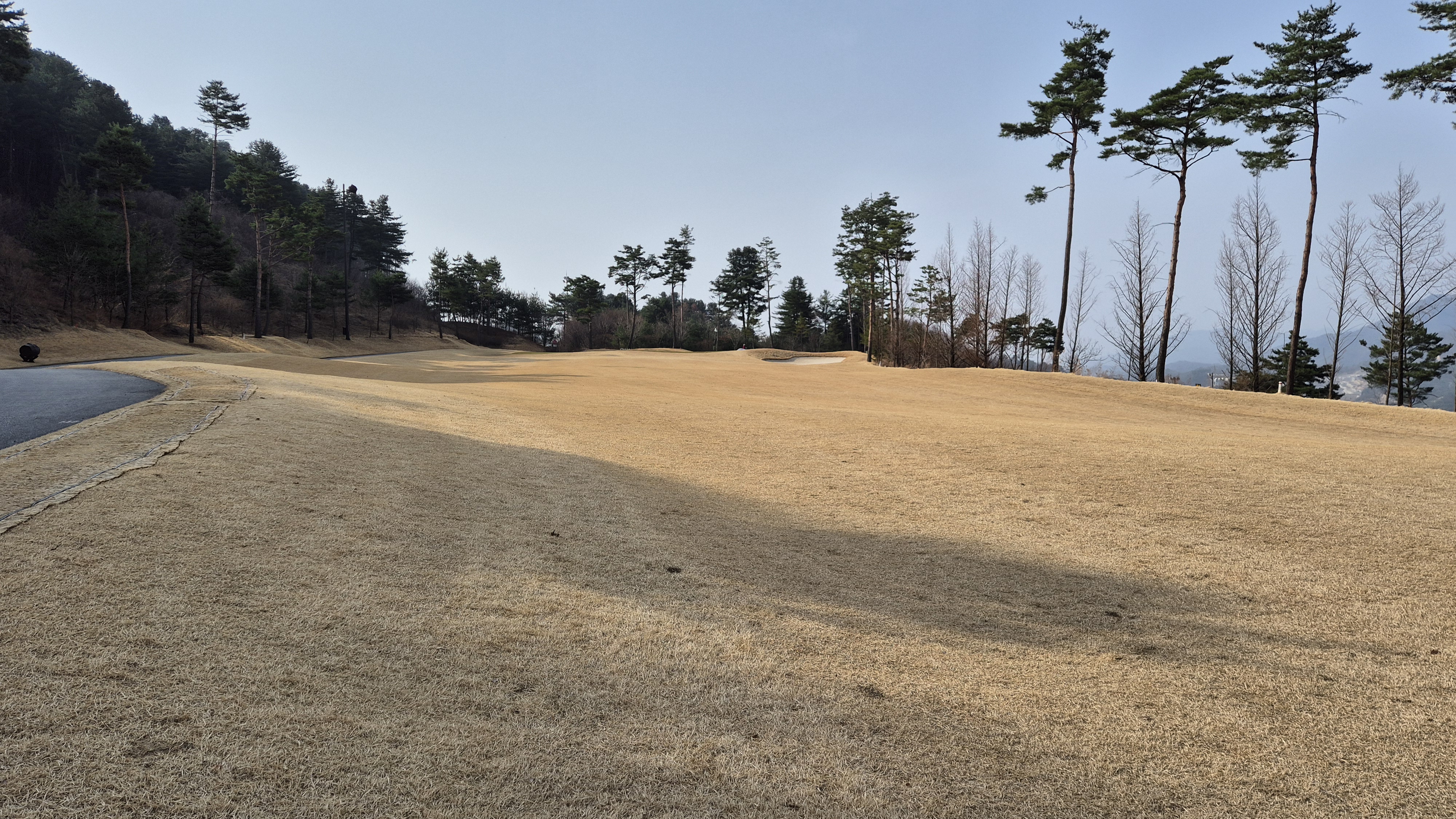 리앤리cc