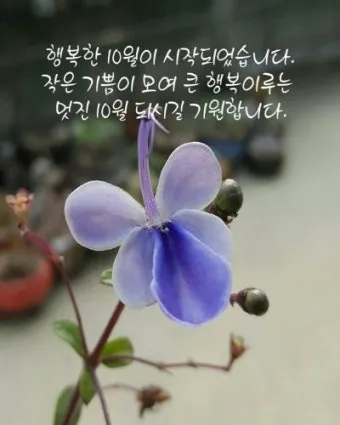 10월 인사말 문구 모음 정리_22