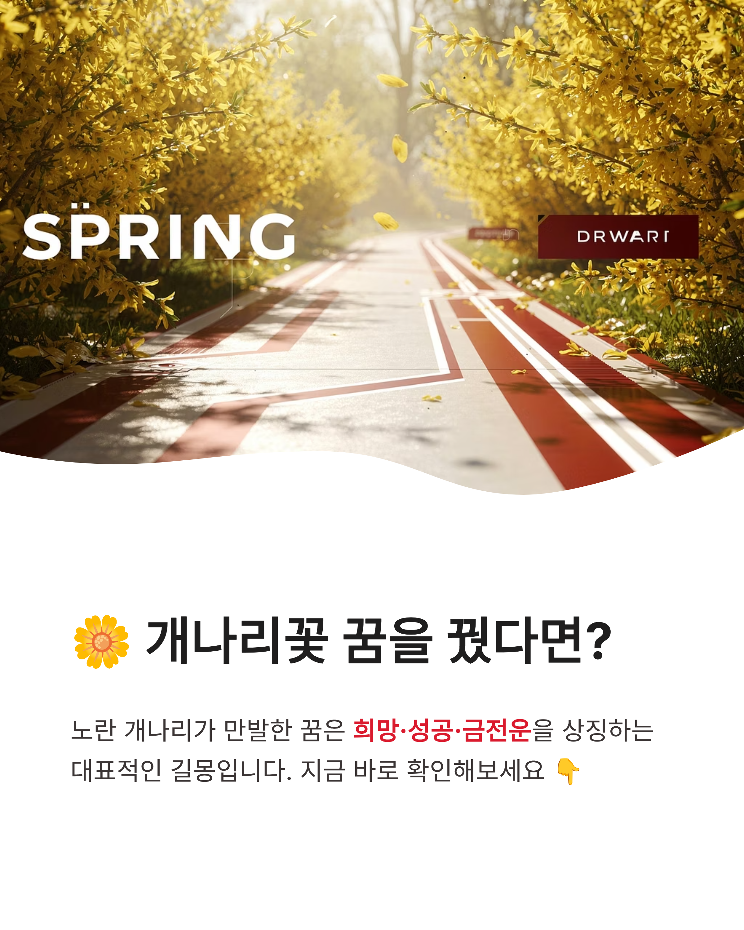 개나리꽃 꿈 해몽, 개나리 피는 꿈, 개나리 태몽 혹은 선물 받는 꿈 해몽