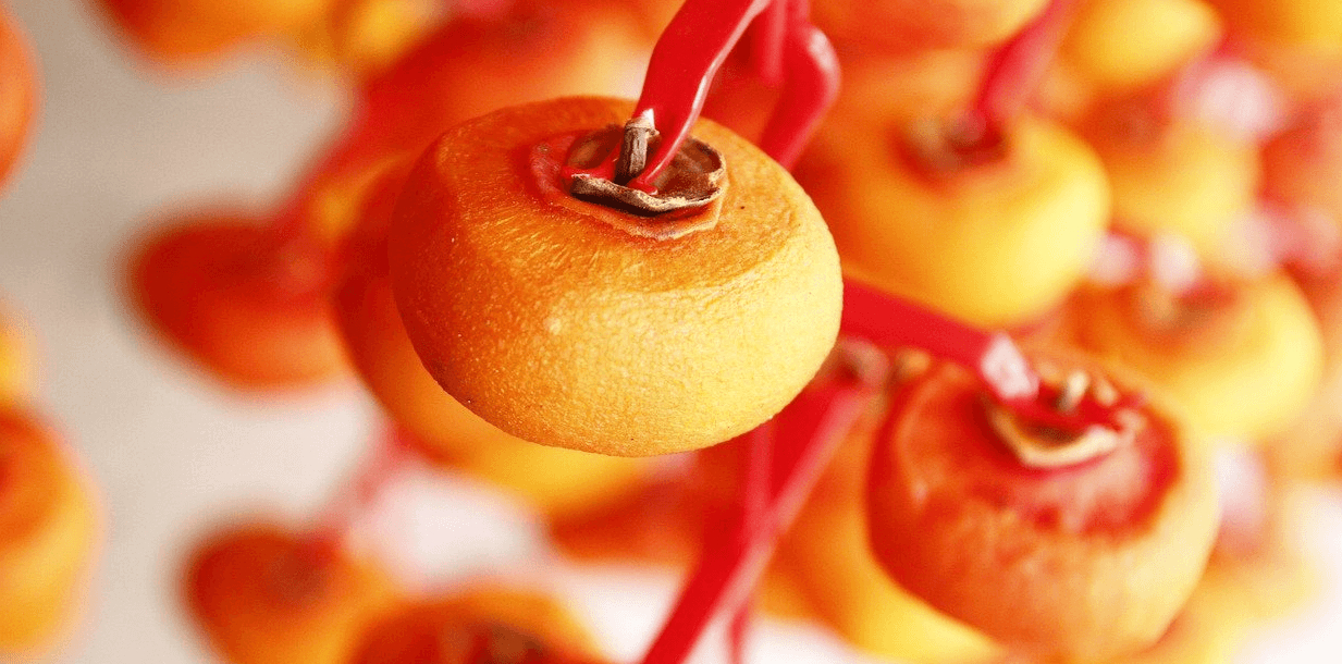 곶감과 감의 사진 - 5