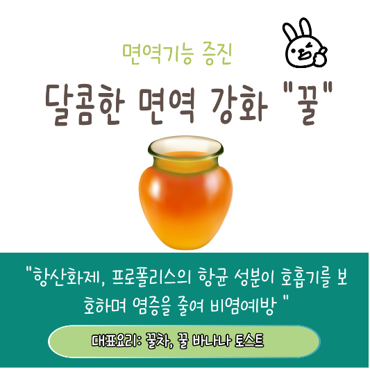 비염예방음식 추천 TOP5 "꿀"