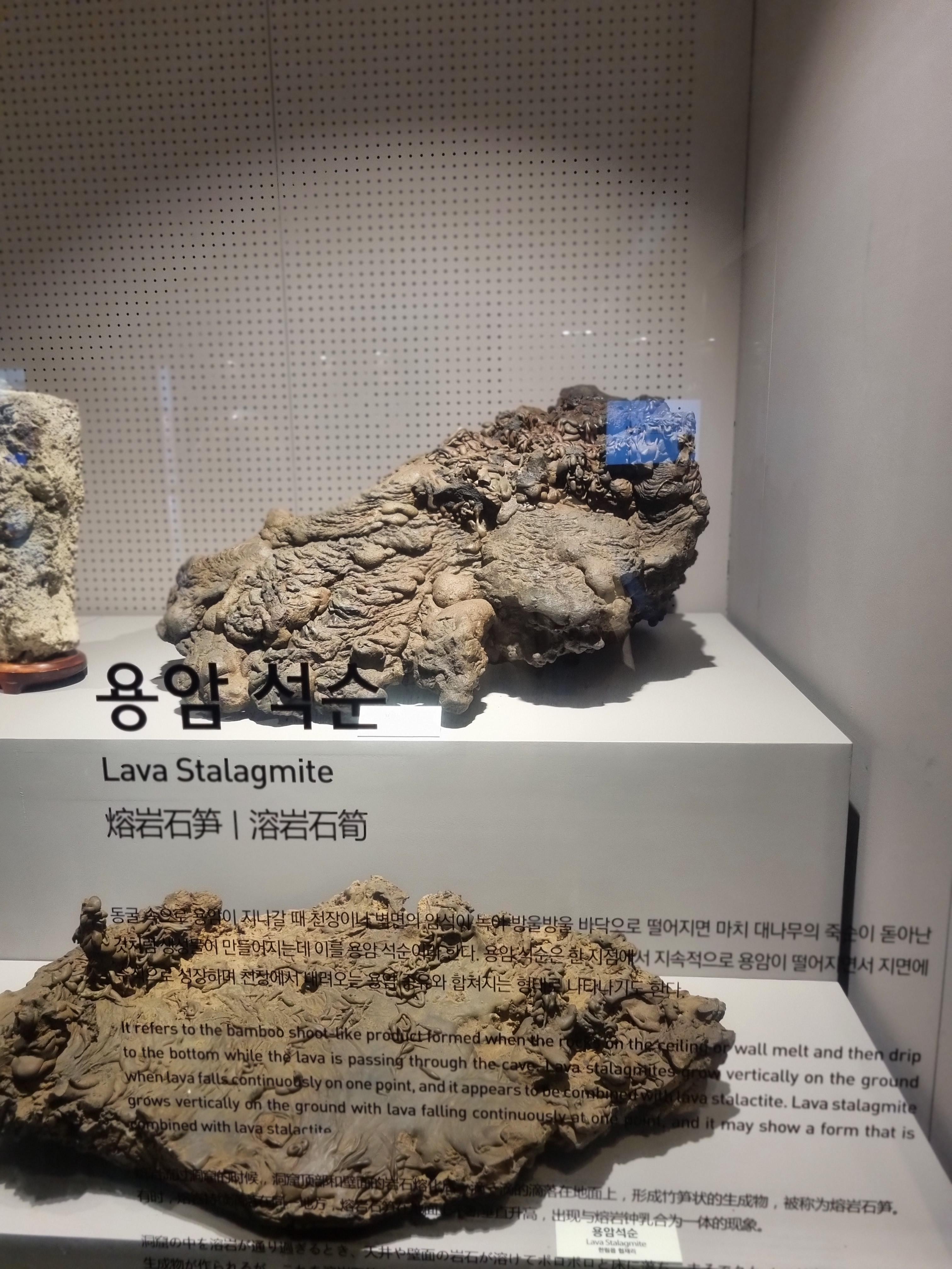 민속자연사박물관