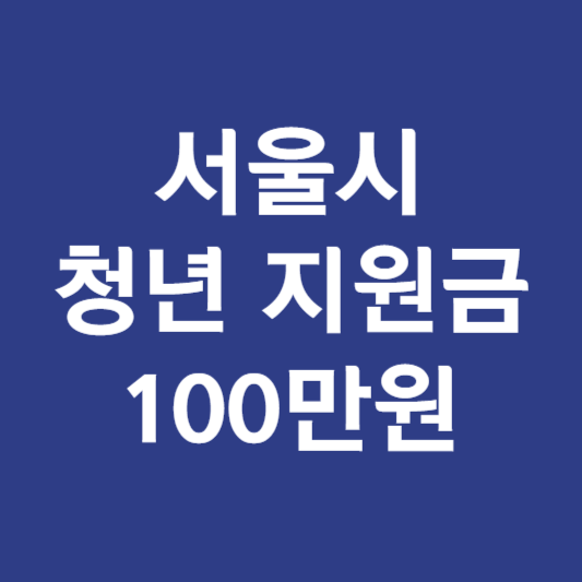 서울시 청년지원금