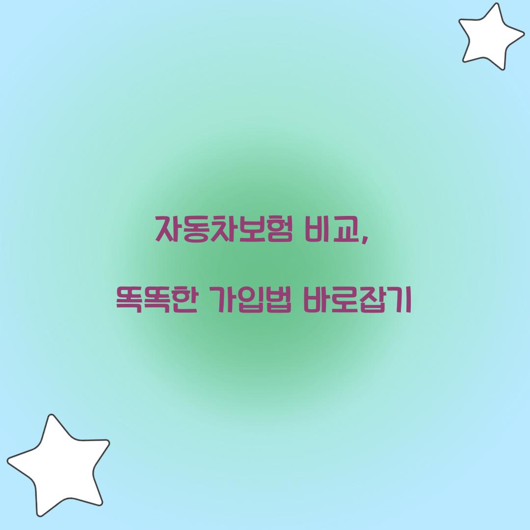 자동차보험 비교