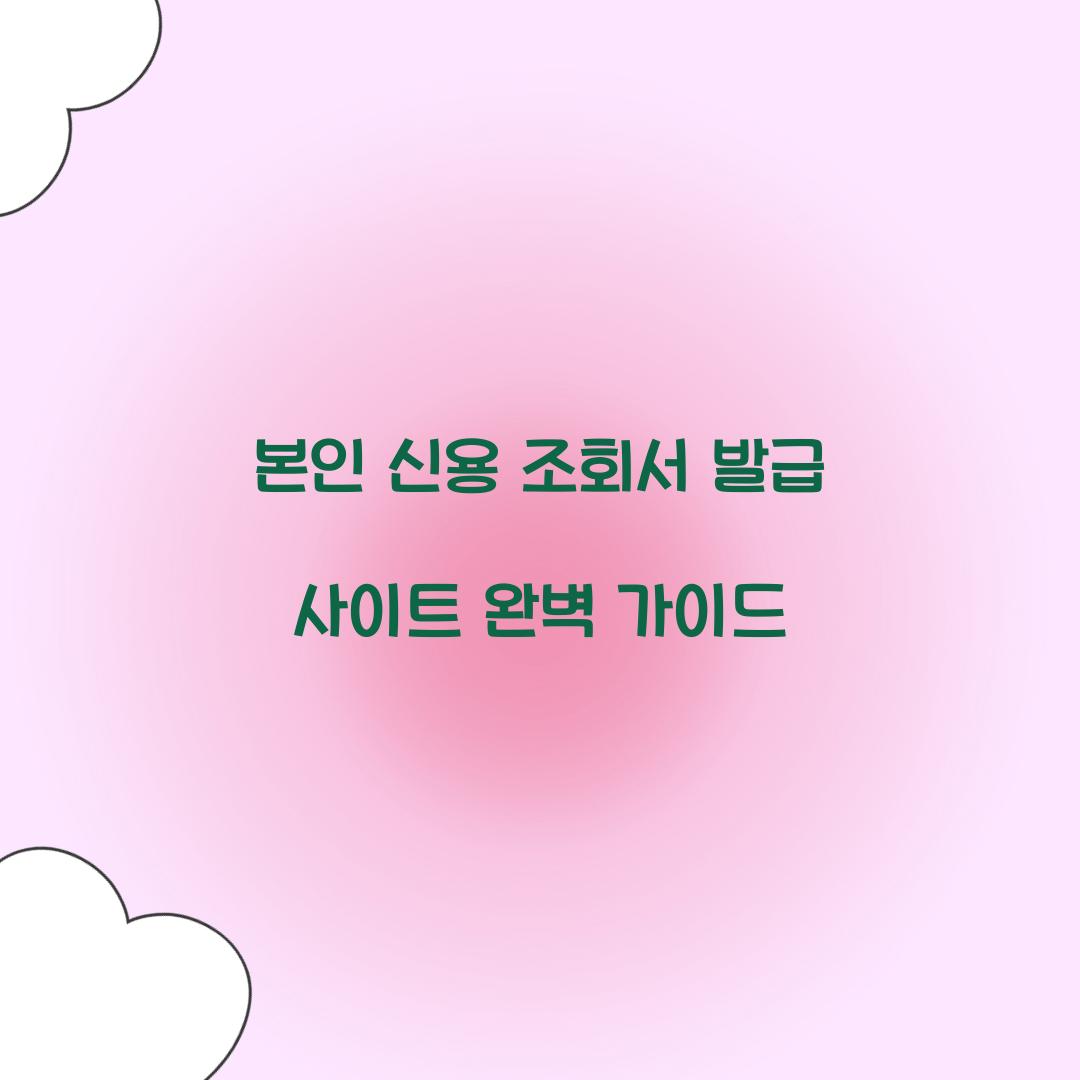 본인 신용 조회서 발급 사이트
