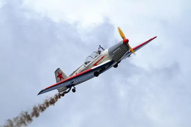 인천공항 제2여객터미널 항공사 라운지 식당 이용 안내 지점 위치_6