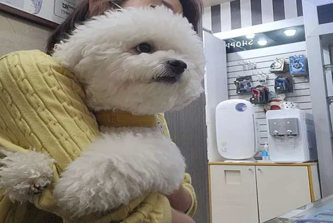 초원동물병원