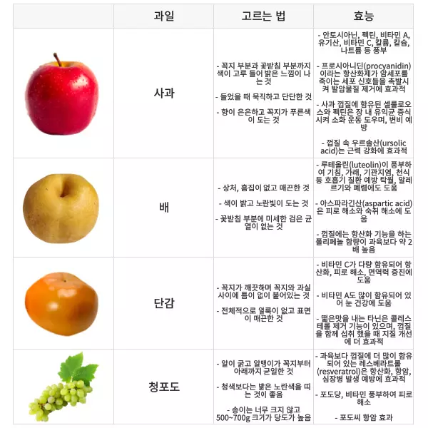 과일 고르는 법 사진