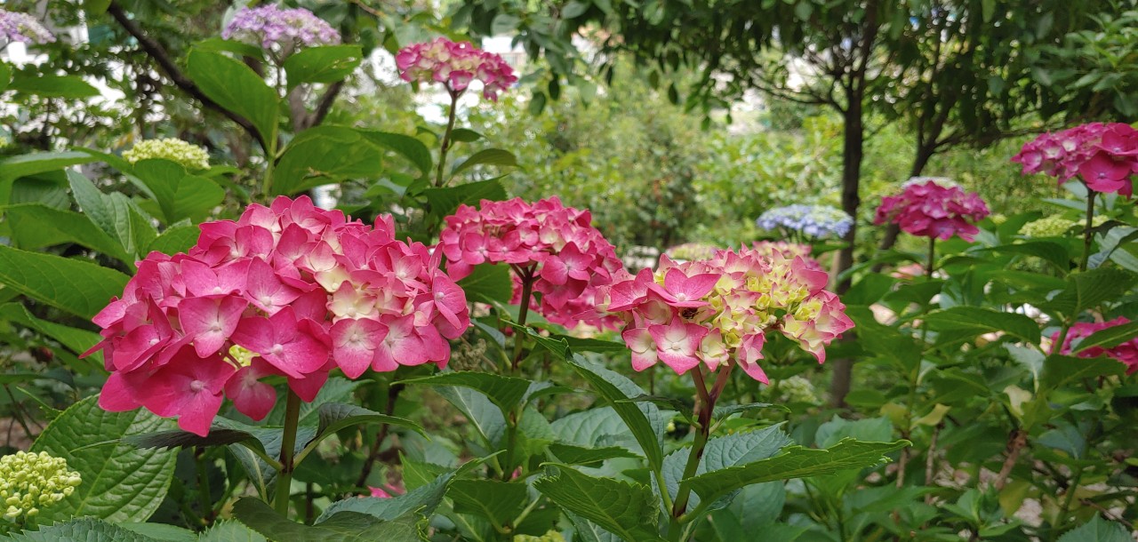 물빛소리정원 가을