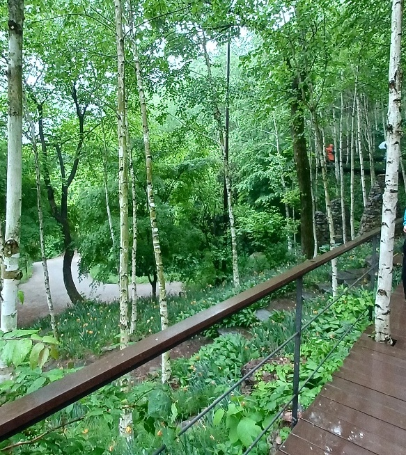 화담숲-벚꽃-주차-4