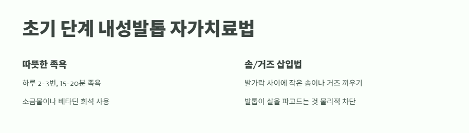 내성발톱 자가치료 완벽 정리 1