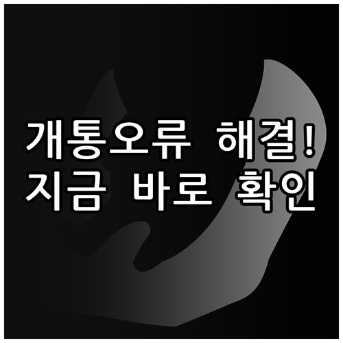 알뜰폰 셀프개통 시간 주의사항 유심 ..