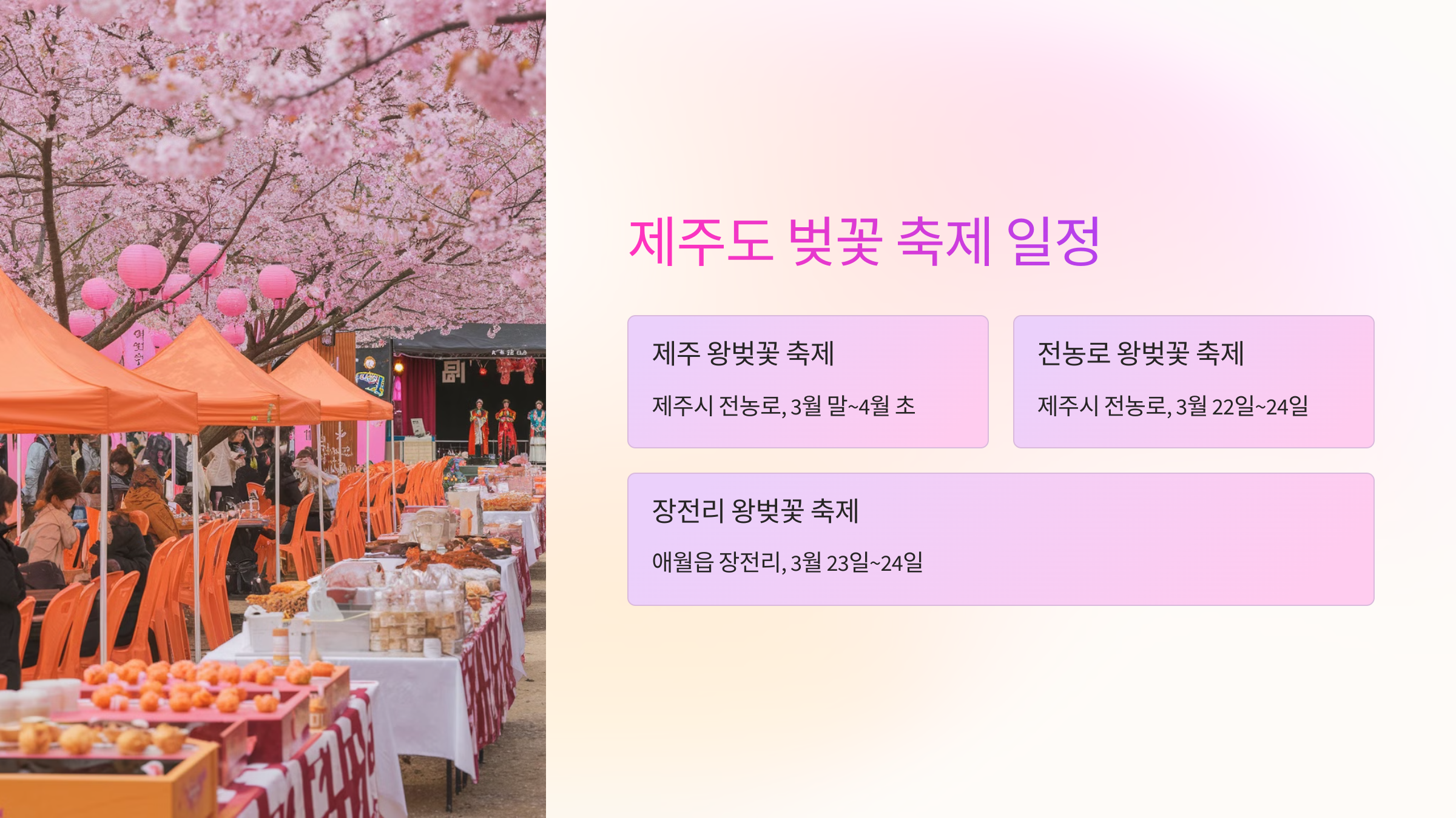🎉 제주도 벚꽃 축제 일정
