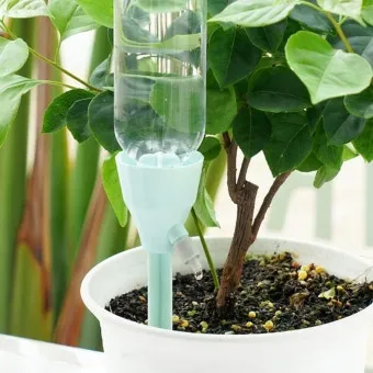 실내식물 물 주는 시간대 아침저녁차이 과습예방 통풍맞춰 관리_8