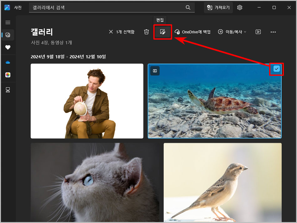 갤러리 동영상 선택