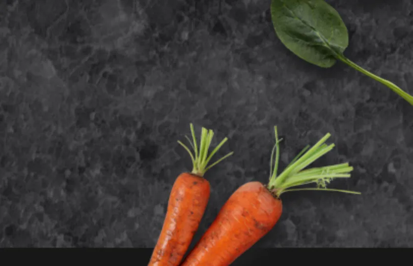 쿠팡와우-쿠팡-월회비-혜택-쿠팡플레이-쿠팡이츠