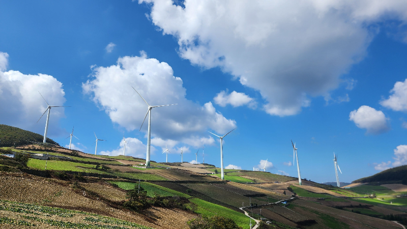 태백시 바람의언덕. 고냉지 배추밭과 풍력발전기가 보인다.