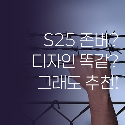 갤럭시 S25, 디자인은 그대로? 그..