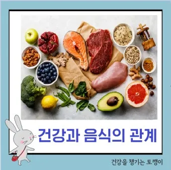 BBC 선정 세계에서 가장 건강한 음식 TOP20 리스트 정리_12