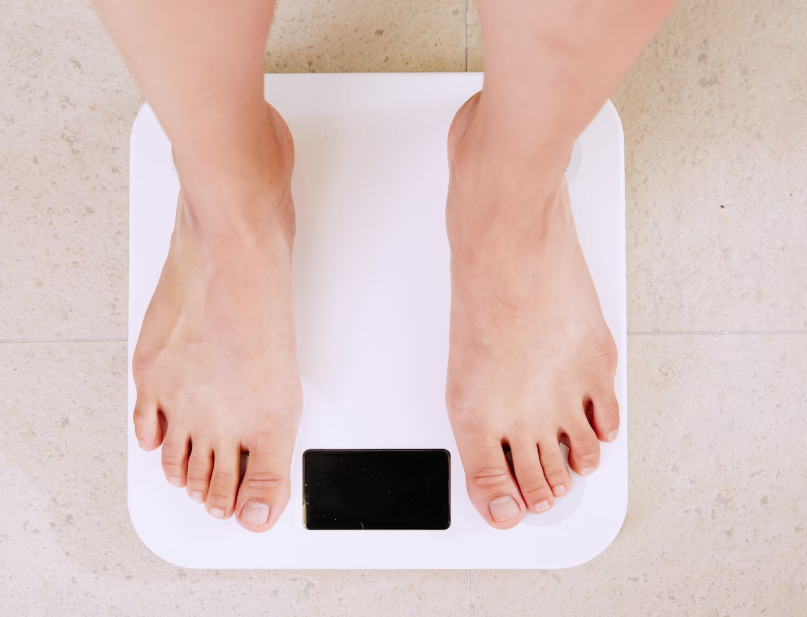 단백질 보충제 효과 : 체중관리