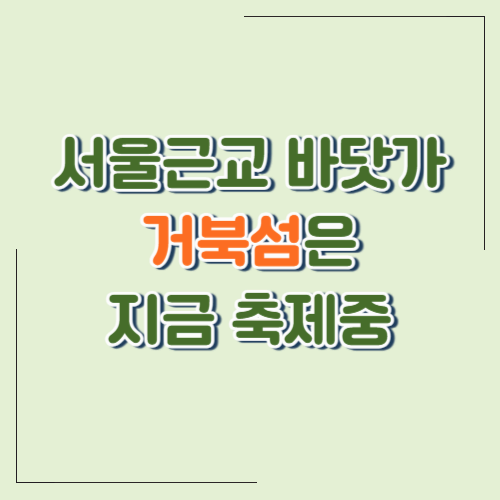 서울에서 1시간, 바다가 있다고? 시흥 ‘거북섬’에서 보낸 하루