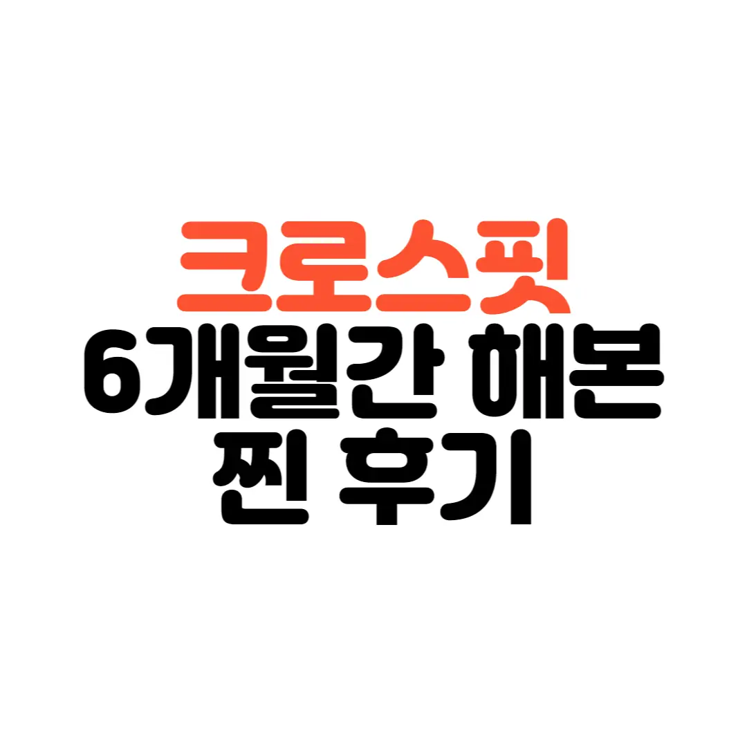 크로스핏-후기