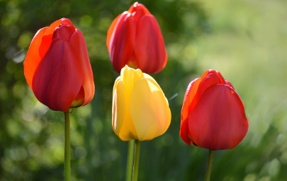 화담숲-예약하기